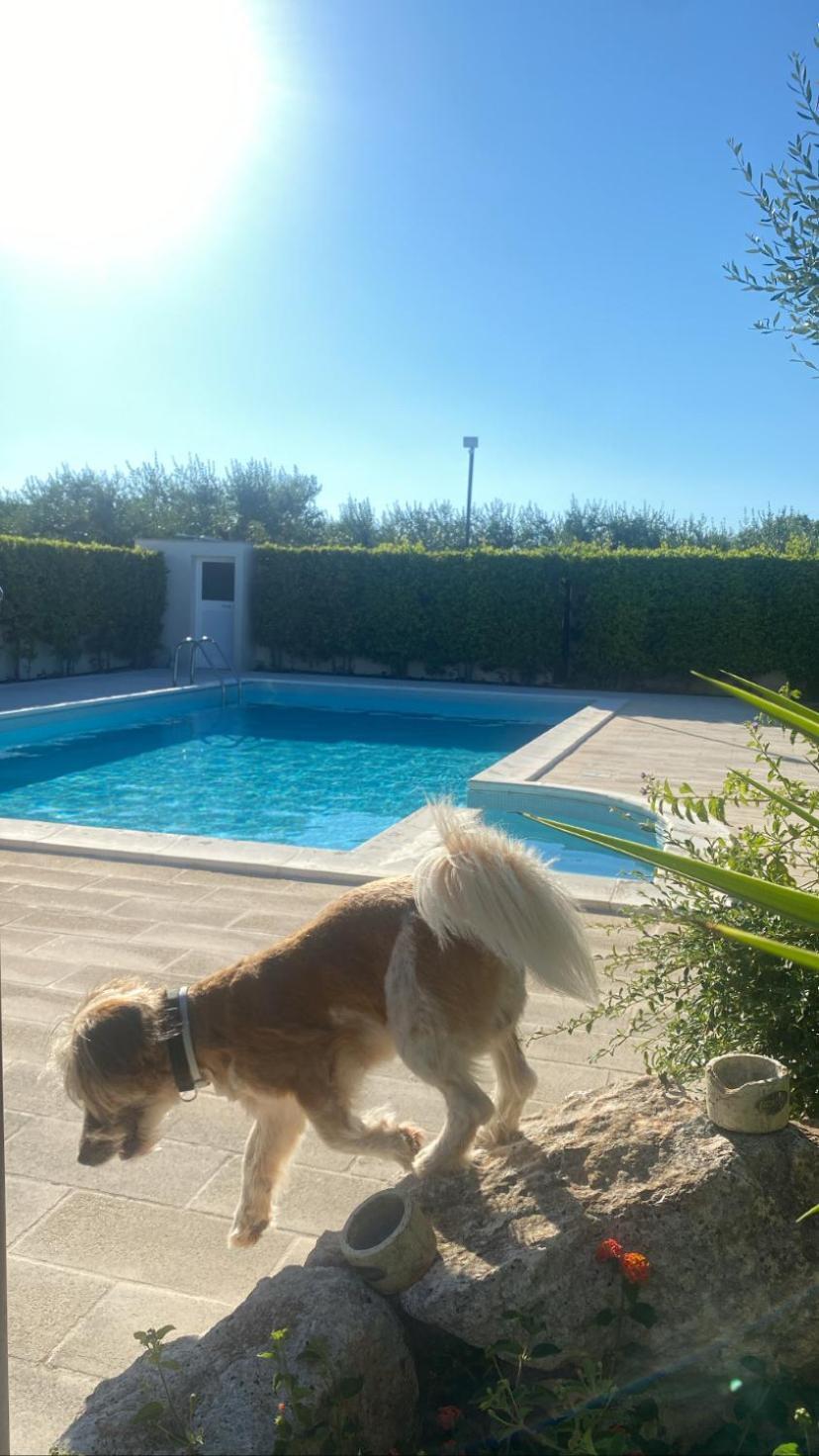 Villa Marinelli Locorotondo Kültér fotó